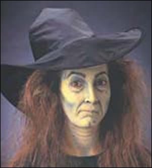 Halloween Makeup Kit - Witch