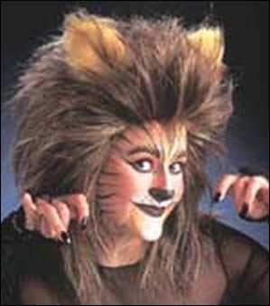 Halloween Makeup Kit - Cat/Lion